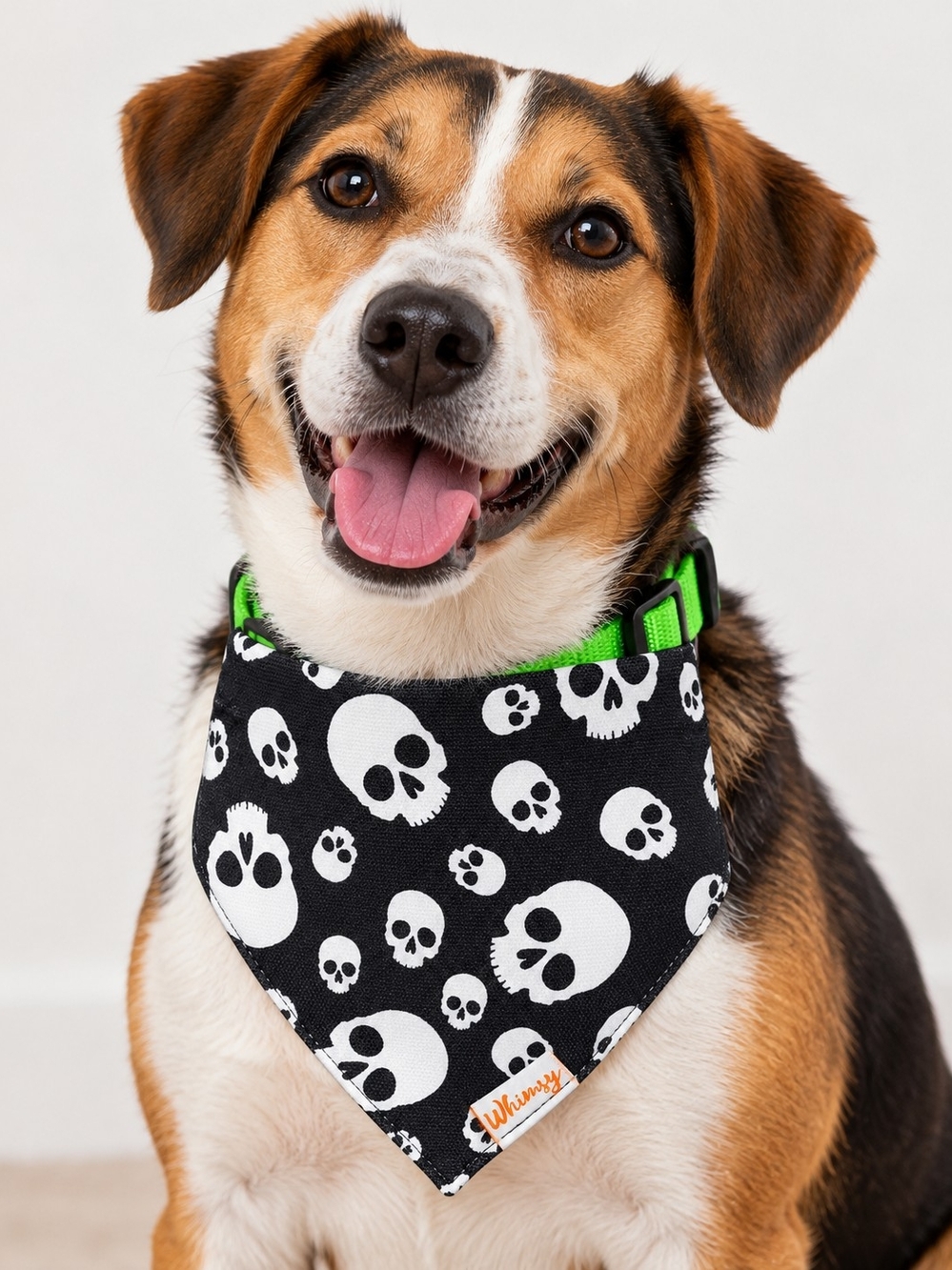 Black Skull Dog Bandana Collar - Green Accent